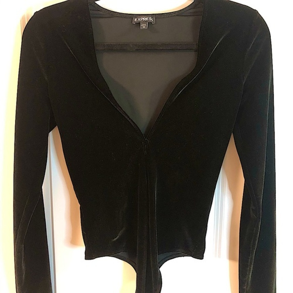 Express Velvet Plunge V-Neck Thong Bodysuit